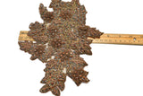 Floral Applique Rhinestone Beaded Brown