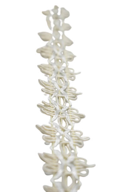 Cotton Gimp Trim 1 1/4 Inch
