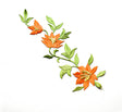 Embroidered Flower Applique Orange Sew-On 11.5 x 4.5