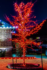 5mm Red LED Lights – 70L 4" Spacing String Light