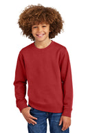 District® Youth V.I.T. Fleece Crew