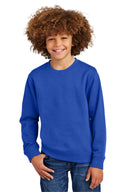 District® Youth V.I.T. Fleece Crew