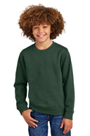 District® Youth V.I.T. Fleece Crew