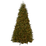 10ft Pre-Lit Dunhill Fir Christmas Tree with Clear LED Lights