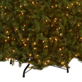 10ft Pre-Lit Dunhill Fir Christmas Tree with Clear LED Lights