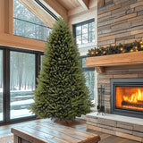 10ft Dunhill Fir Full Artificial Christmas Tree with Hinged Branches
