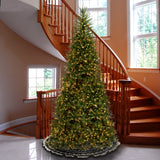 10ft Pre-Lit Dunhill Fir Slim Christmas Tree with Clear Lights