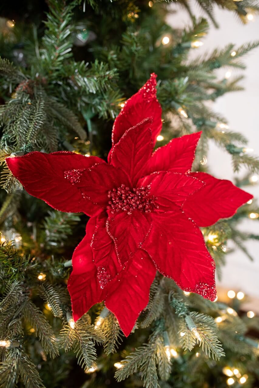 22” x 15" Velvet Glitter Poinsettia Stem - Red
