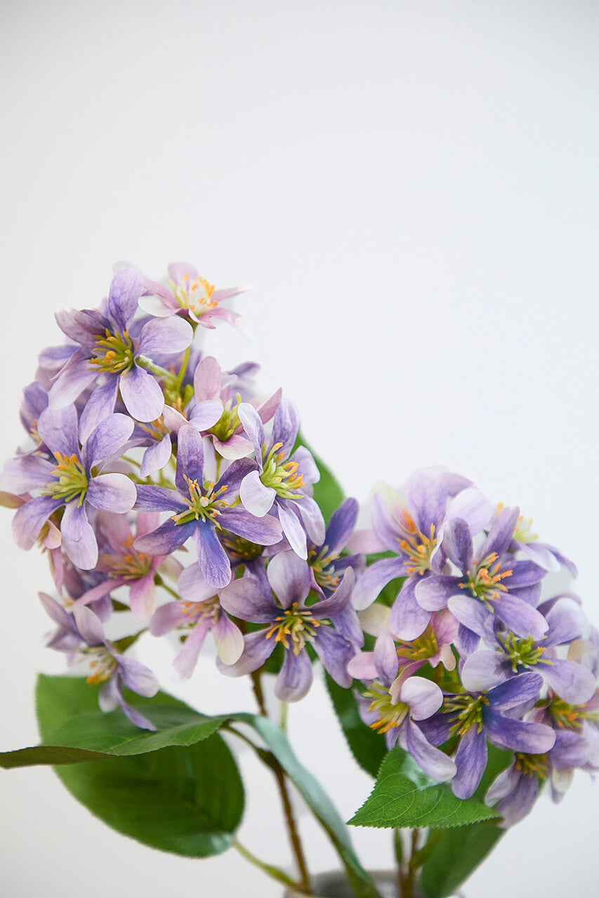 28" Giant Lilac Stem