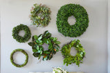 22" Eucalyptus Wreath