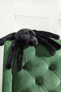 Black Spider Pillow