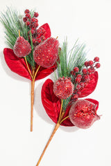 14"- 15" Pomegranate and Pear Pick