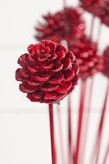 21" Euro Cone Pick - Red