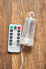 20' Warm White LED Compact Lights with Clear Cord - Battery Operated