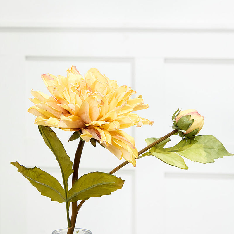 21" Dried Dahlia with Bud Stem – Rustic Elegant Floral Accent