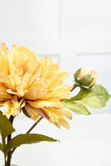 21" Dried Dahlia with Bud Stem