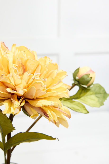 21" Dried Dahlia with Bud Stem