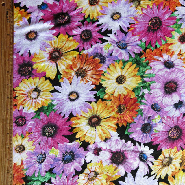Cotton Lycra Jersey Knit Daisy Party Floral