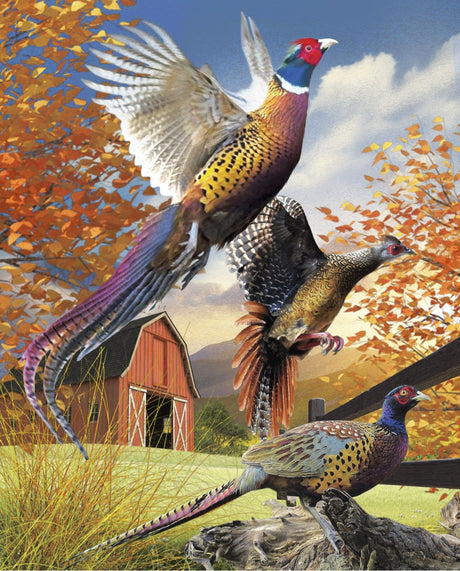 Fabric Panel Pheasant Trio Multi David Textiles