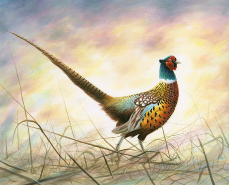 Fabric Panel Spring Rooster Pheasant 36"x44" David Textiles