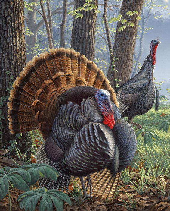 Fabric Panel Wild Turkey 36" x 44" David Textiles