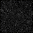 Cotton Wideback Fabric Black On Black Daydream 108/109"