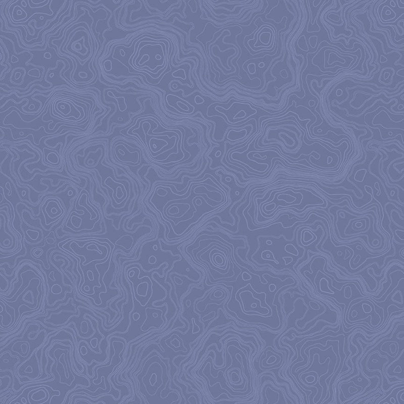Cotton Print Denim Topography Map Fabric 44/45"