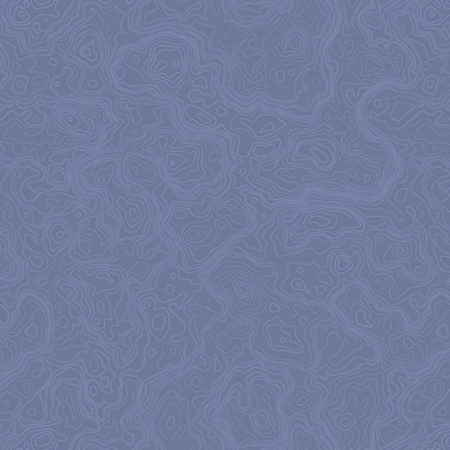 Cotton Print Denim Topography Map Fabric 44/45"
