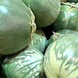 Giant Thai Eggplant Seeds 20 Seeds Green Round Thai Eggplant Organic Variety