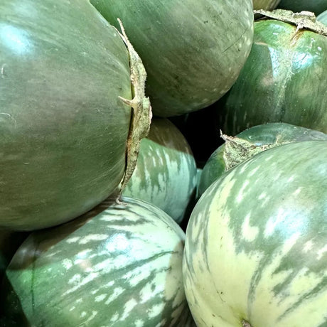 Semillas de berenjena gigante tailandesa 20 semillas Berenjena tailandesa redonda verde Variedad orgánica