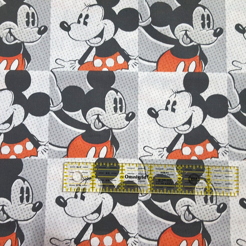 Quilting Cotton Disney Mickey and Minnie Blocks