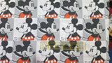 Quilting Cotton Disney Mickey and Minnie Blocks