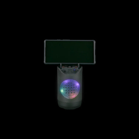 Light-Up Portable Wireless Speaker (1 PC)