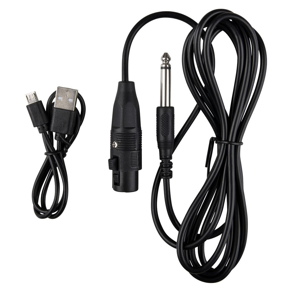 Party Speaker With Microphone