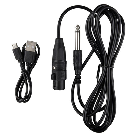 Party Speaker With Microphone
