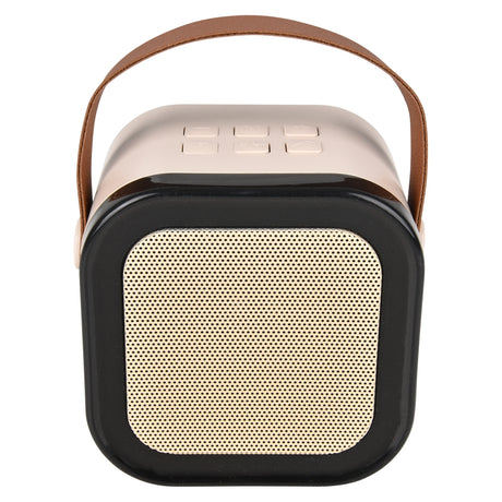 Wireless Karaoke Speaker with 2 Mics