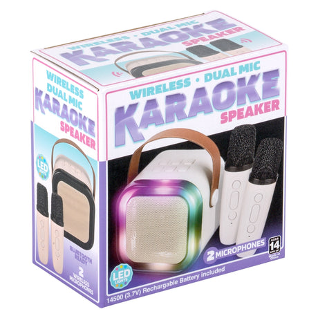 Wireless Karaoke Speaker with 2 Mics