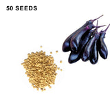 Millionaire Eggplant Seeds High Yield Japanese Eggplant Variety for Home Gardens