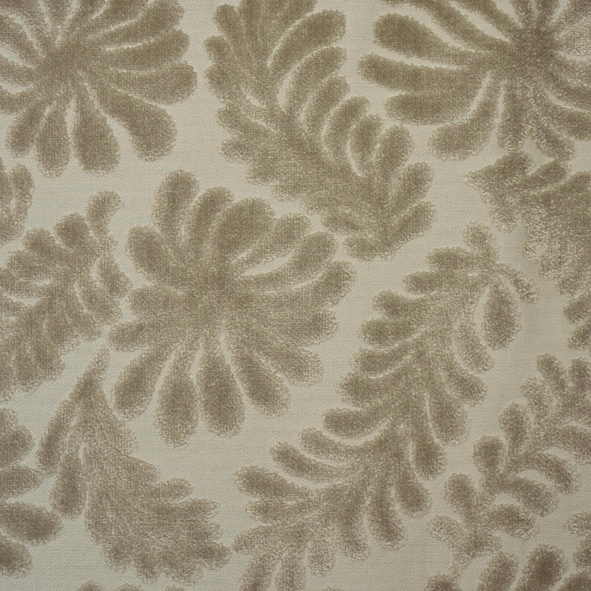 Cut Velvet Upholstery Fabric Eden Botanical