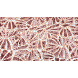 Ornate Lace Sequin Polyester Fabric - Blush/Blush, 48" Width (1 Yard)