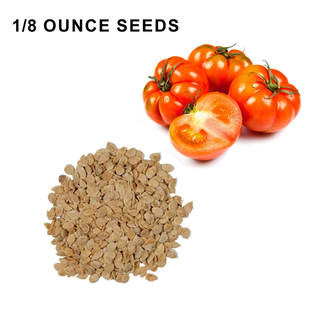 Beefsteak Determinate Tomato Seeds Heirloom Organic High Yield Garden Variety