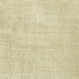 Everest Textured Velvet Polyester Fabric - Textured Two Tone Velvet, 57" Width (1 Yard)