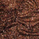 Stretch Mesh Sequin Fabric