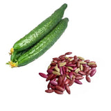 Jinyan Four Cucumber Seeds 30 Coated Seeds Early Main Vine Variety