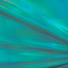 Foiled Spandex Holographic Black
