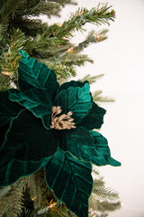22” x 13" Dark Green Poinsettia Stem