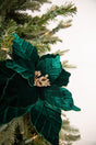 22” x 13" Dark Green Poinsettia Stem