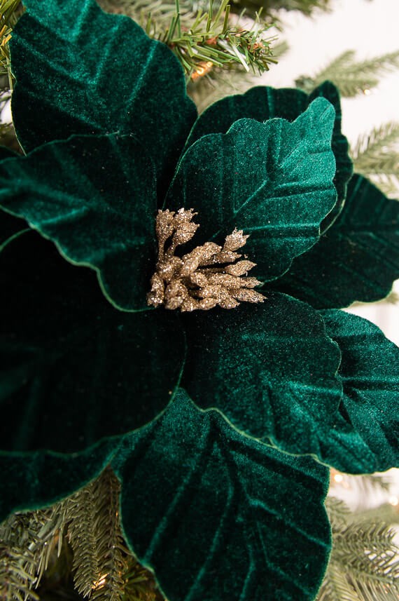 22” x 13" Dark Green Poinsettia Stem