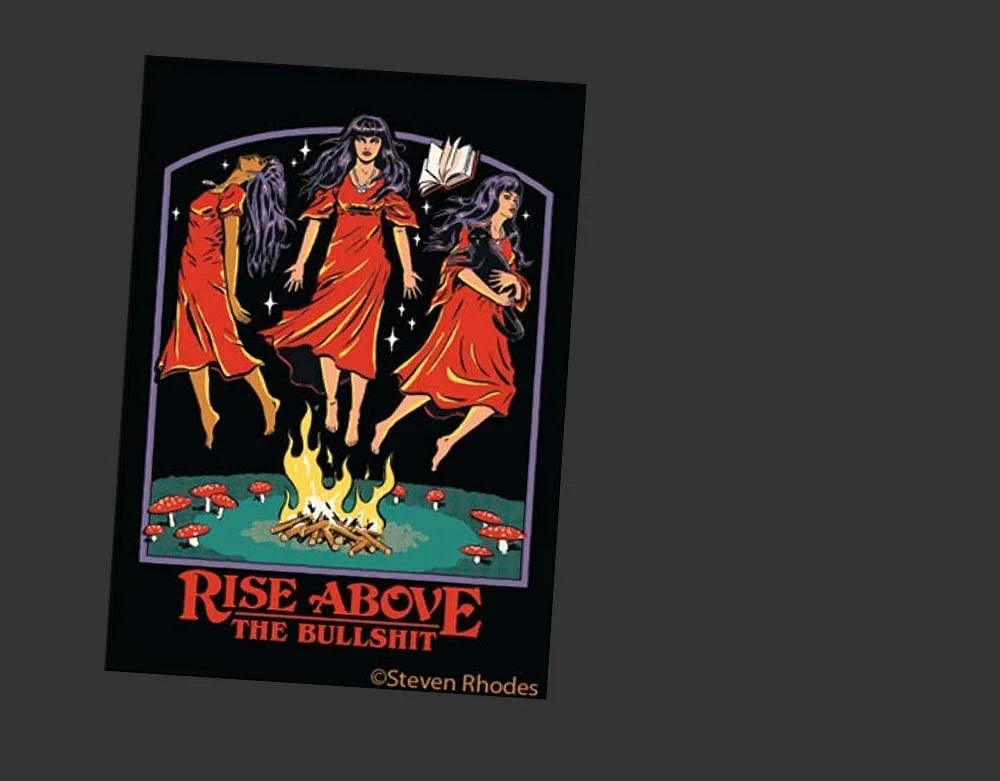 Rise Above The Bullshit - Magnet