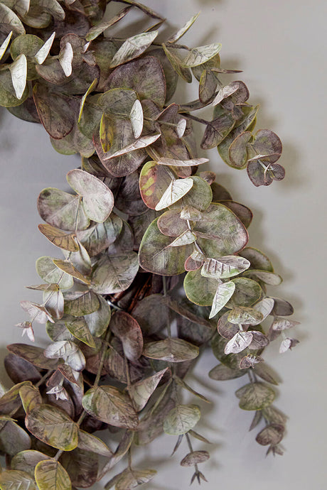 24" Eucalyptus Wreath